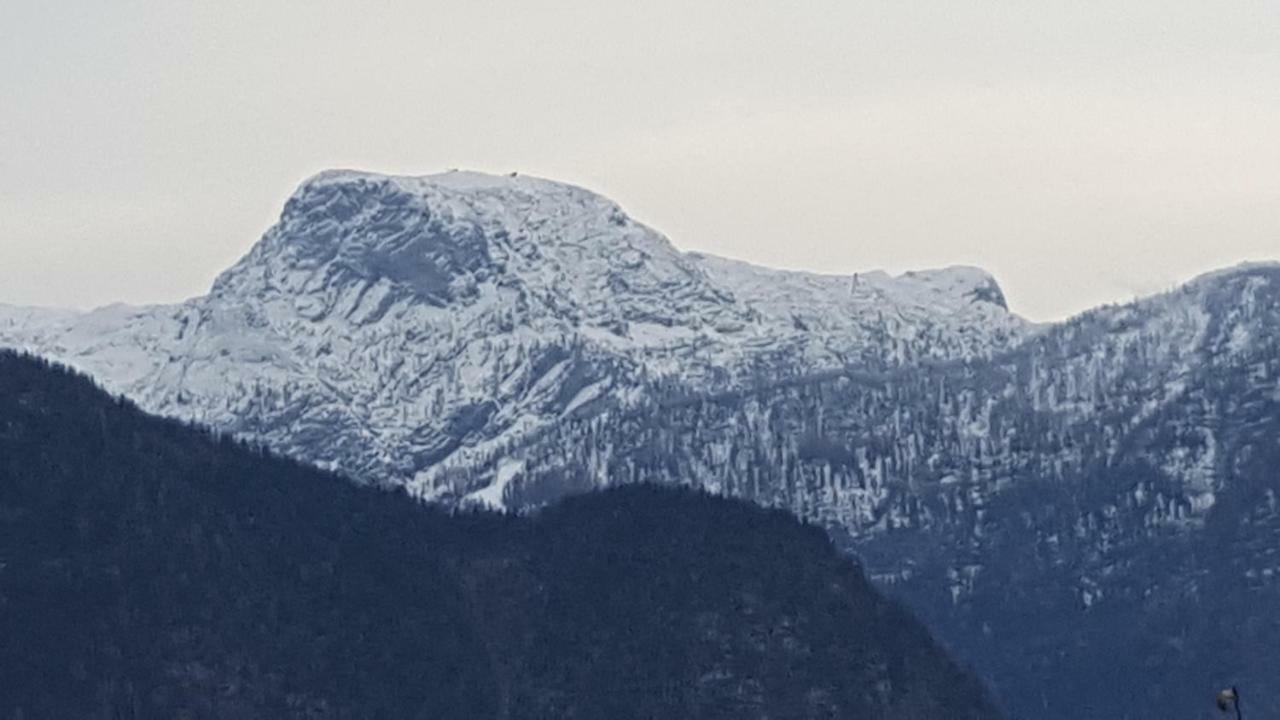 Ferienwohnung Haus Cerny Bad Goisern Exteriör bild